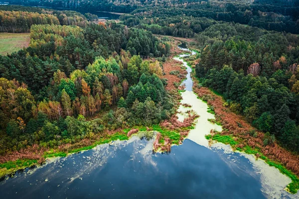 Kleiner See Und Fluss Voller Algen Herbst Polen — Stockfoto