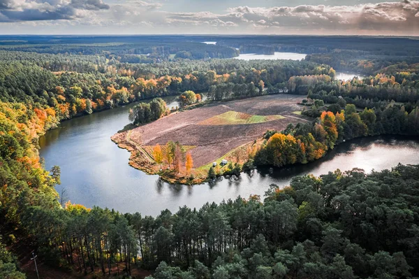 Büyük Kıvrımlı Nehir Sonbahar Ormanı Polonya Hava Manzarası — Stok fotoğraf