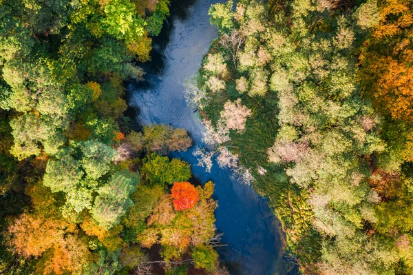 Stunning Turning River Autumn Forest Sunset Aerial View Poland — Stock Photo, Image