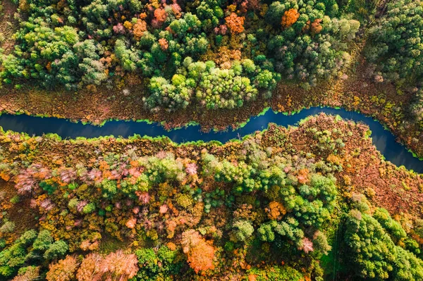 Vista Dall Alto Del Piccolo Fiume Paludi Colorate Polonia — Foto Stock