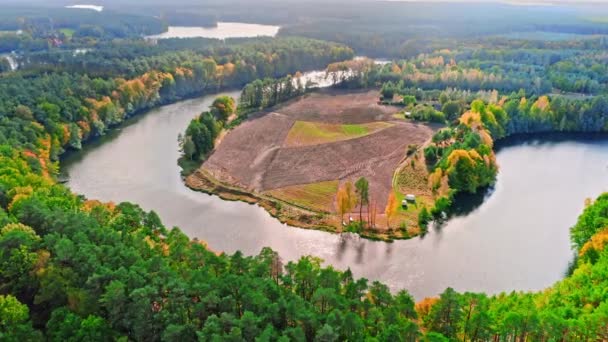 Winding rivier in het najaar bos, vanuit de lucht uitzicht op Polen — Stockvideo