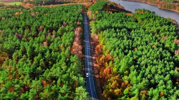 Schwarze Straße, Herbstwald und großer See, Polen — Stockvideo