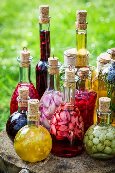 Mischung Aus Frischen Tinkturen Aus Alkohol Und Früchten Sommergarten — Stockfoto