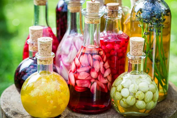 Mélange Teintures Douces Avec Des Fruits Alcool Dans Jardin Été — Photo