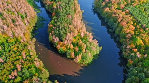 Vindlande flod på hösten vid solnedgången, flygbild över Polen — Stockvideo