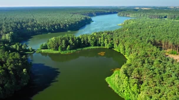 Latające nad jeziorem i lasem wiosną, Polska — Wideo stockowe