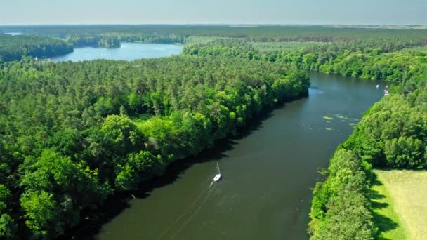 Kleine witte boot varen op grote rivier tussen bossen, Polen — Stockvideo