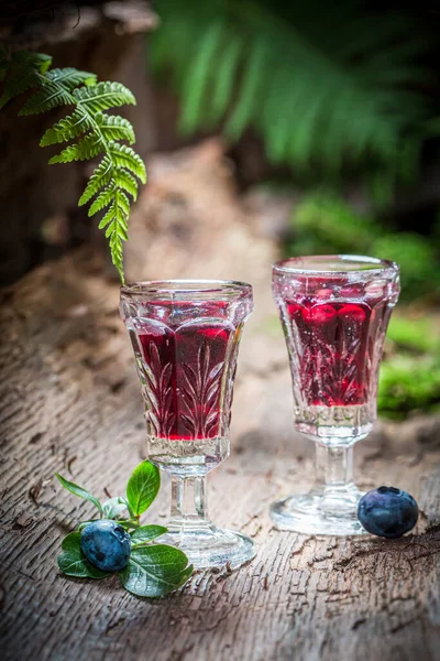 Tintura Doce Saborosa Com Álcool Mirtilos Velho Tronco Árvore — Fotografia de Stock