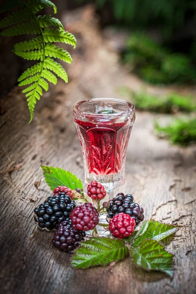 Hausgemachte Tinktur Aus Brombeeren Und Alkohol Einem Alten Baumstamm — Stockfoto