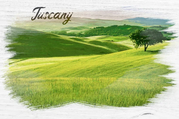 Campos Verdes Árvore Solitária Toscana Itália Pintura Aquarela — Fotografia de Stock