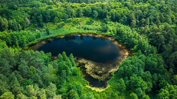 Small Pond Green Forest Summer Aerial View Poland Europe — Stock Photo, Image