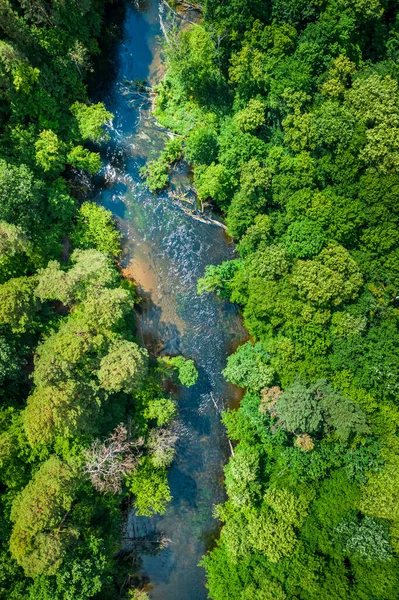 Flod Och Grön Skog Sommaren Flygutsikt Polen — Stockfoto