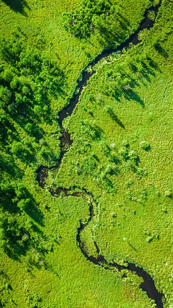 Pohled Shora Dolů Řeku Zelené Bažiny Létě Polsko — Stock fotografie