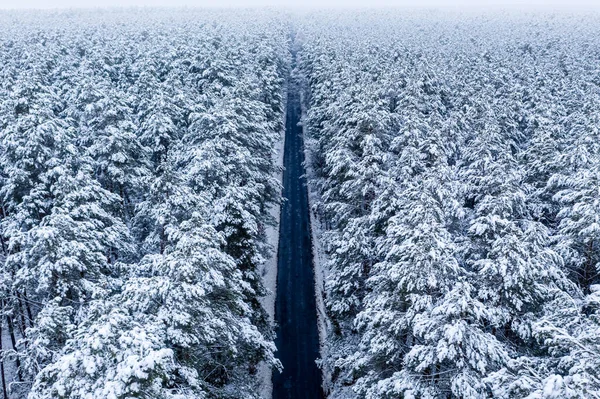 Вид Воздуха Длинную Прямую Дорогу Через Снежный Лес Польша — стоковое фото