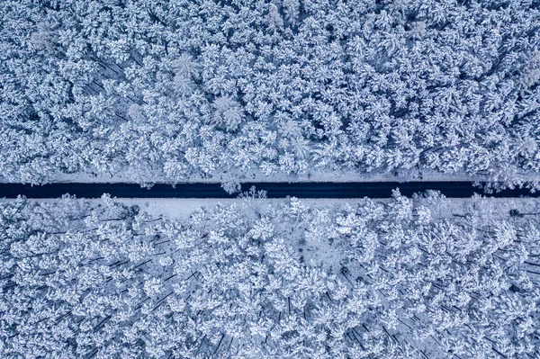 Вид Сверху Длинную Прямую Дорогу Через Заснеженный Лес Польша — стоковое фото