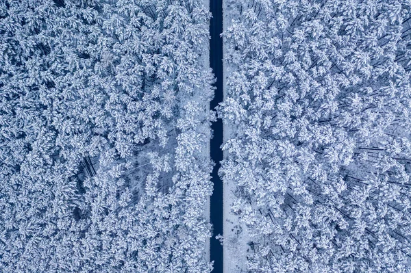 雪の森 ポーランドを通る黒いアスファルトの道路の空中ビュー — ストック写真
