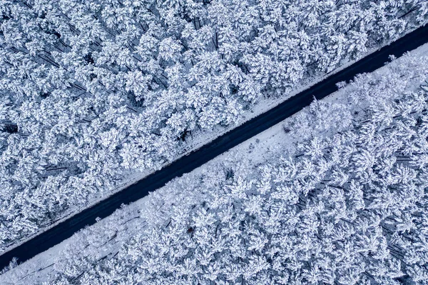 凍結した森の中の長い直線道路のトップビュー ポーランド — ストック写真