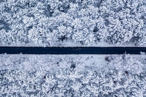 Вид Воздуха Асфальтовую Дорогу Замерзших Лесах Польша — стоковое фото