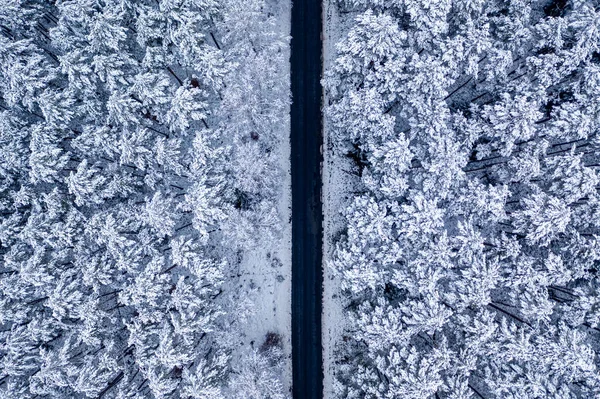 Вид Сверху Черную Асфальтовую Дорогу Замерзшем Лесу Польша — стоковое фото