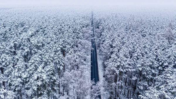 Вид Воздуха Длинную Прямую Дорогу Замерзших Лесах Польша — стоковое фото