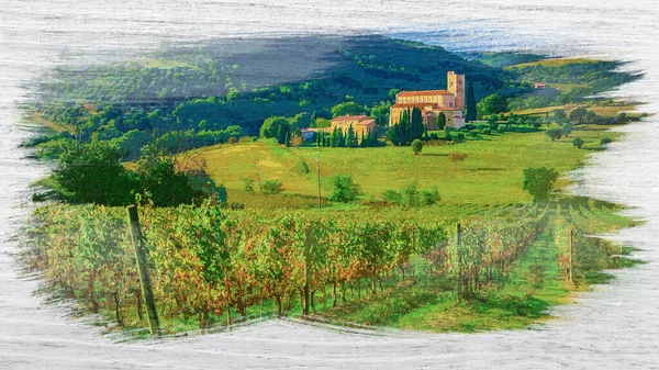 イタリア トスカーナ州サンタンティモのアニーのブドウ畑の水彩画 — ストック写真