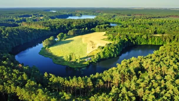 Río azul con curvas y bosques verdes en verano, Polonia — Vídeos de Stock
