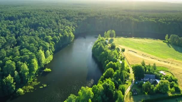 Fiume sinuoso e foreste verdi all'alba, Polonia — Video Stock