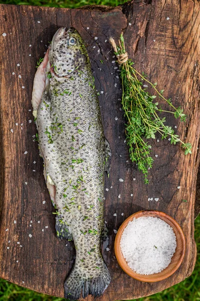 Trucha Entera Fresca Cruda Jardín Verano Para Asar Parrilla —  Fotos de Stock