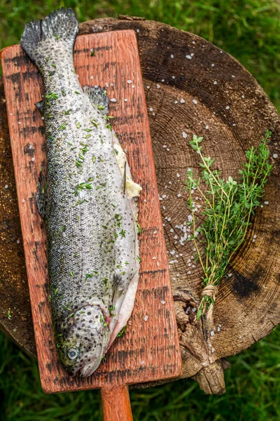 Top View Trout Salt Herbs Grilling Summer — Stock Photo, Image