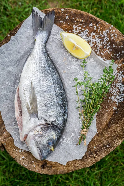 新鮮な鯛とレモンとハーブのグリル — ストック写真