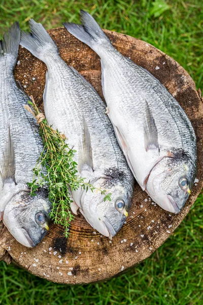 夏の庭で塩とハーブで鯛を味付け — ストック写真