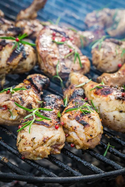 Poulet Chaud Épicé Sur Gril Avec Des Épices Dans Jardin — Photo