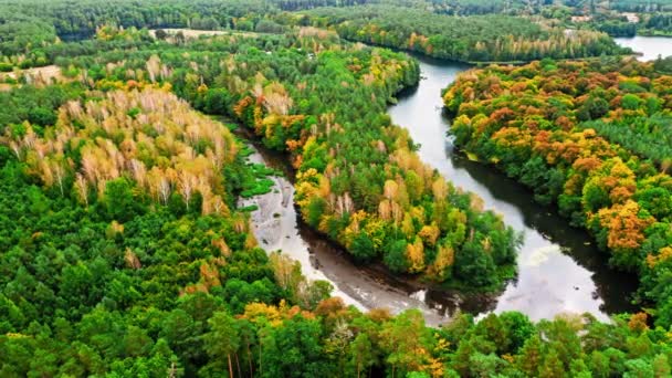Bosque y río con curvas, principios de otoño en Polonia, vista aérea — Vídeos de Stock