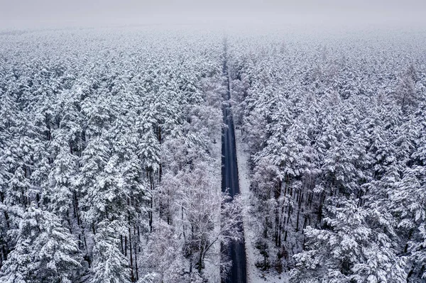 Black Asphalt Road Snowy Woods Aerial View Winter — Stock Photo, Image