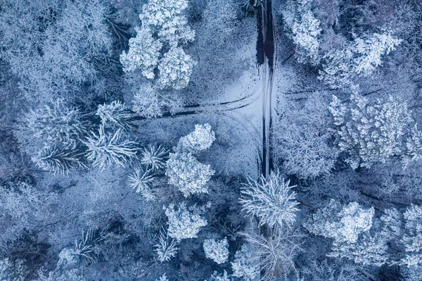 Πάνω Προς Κάτω Άποψη Του Χιονισμένο Παγωμένο Δάσος Χειμώνα Εναέρια — Φωτογραφία Αρχείου