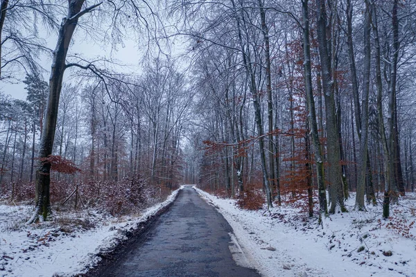 Polonya Nın Karlı Ormanlarındaki Siyah Asfalt Yolu Havadan Görünüyor — Stok fotoğraf