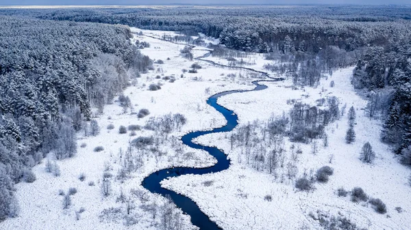 Vista Aérea Rio Floresta Curvilíneos Inverno Polônia Europa — Fotografia de Stock