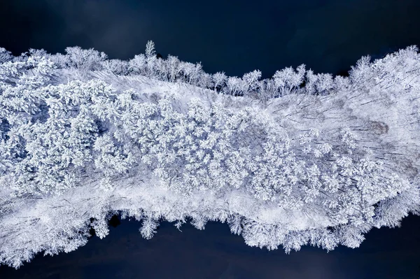 Πετώντας Πάνω Από Κρύο Ποτάμι Και Χιονισμένο Δάσος Χειμώνα Την — Φωτογραφία Αρχείου