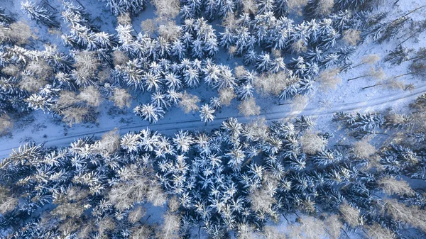 波兰冬季乡村道路和雪地森林的自上而下视图 — 图库照片