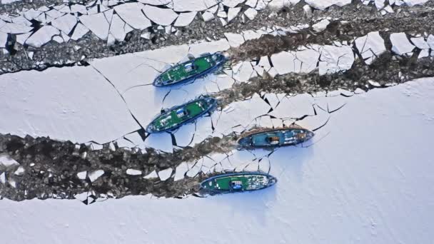 Vier ijsbrekers op Vistula rivier verplettert ijs, 2020-02-18, Plock, Polen — Stockvideo