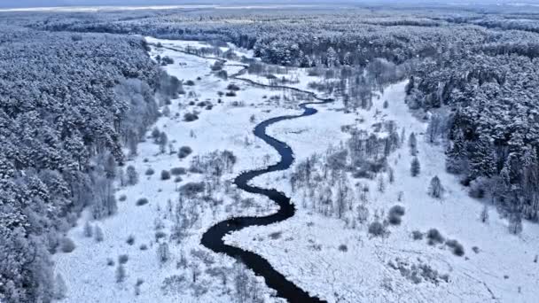 Bochtige rivier en bevroren bos in de winter, uitzicht vanuit de lucht — Stockvideo