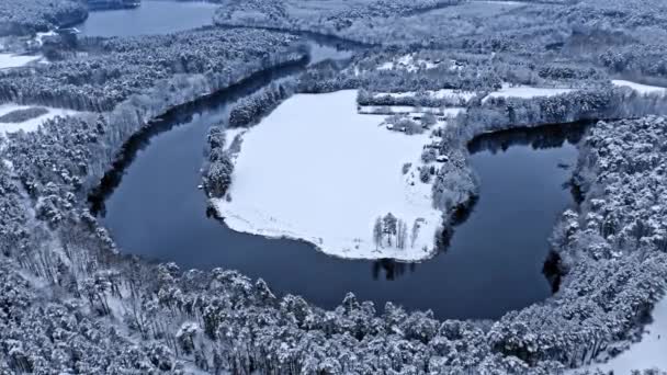 Řeka a zasněžený les v zimě. Letecký pohled na volně žijící zvěř — Stock video