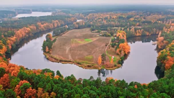Kurvig flod och höstskog. Flygfoto över vilda djur, Polen — Stockvideo