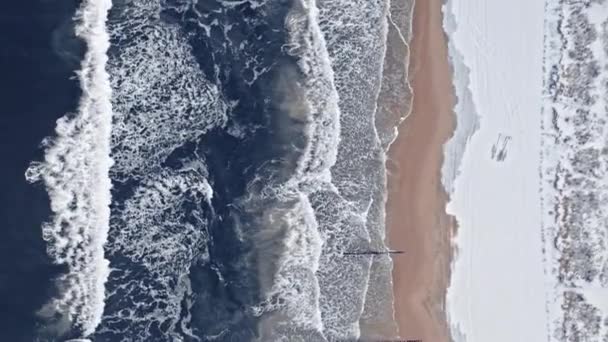 Sněžná pláž u Baltského moře. Letecký pohled na divokou zvěř, Polsko — Stock video