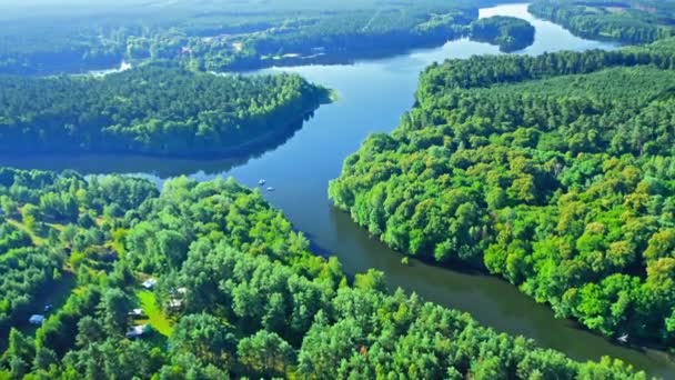 Rio e florestas no verão. Vista aérea da vida selvagem, Polónia — Vídeo de Stock