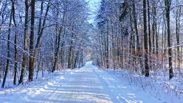 Vervoer in de winter. Weg, besneeuwd bos en rivier in de winter. — Stockvideo