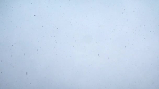 Schneeflocken fallen im Winter. Winter Hintergrund mit Schneeflocken — Stockvideo