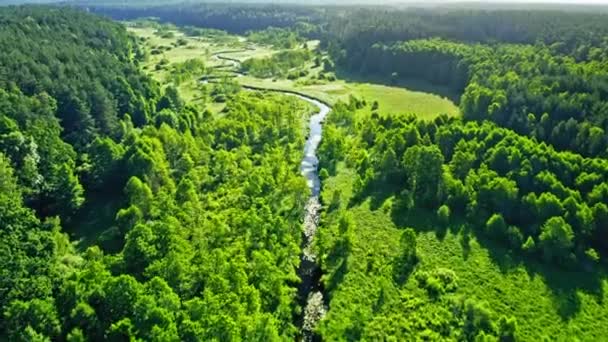 Fiume e foresta verde. Veduta aerea della fauna selvatica in Polonia — Video Stock