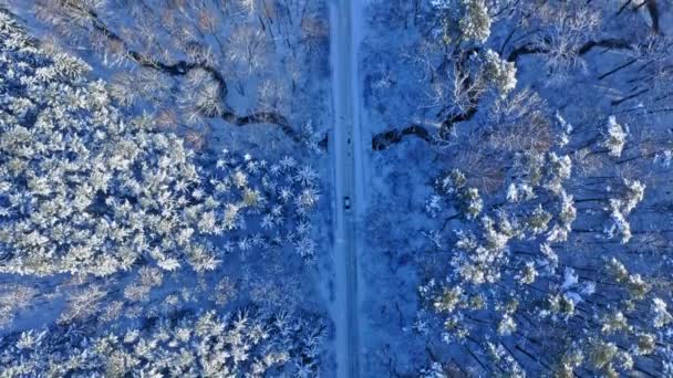 Sneeuwweg en bos in de winter. Vervoer in de winter — Stockvideo