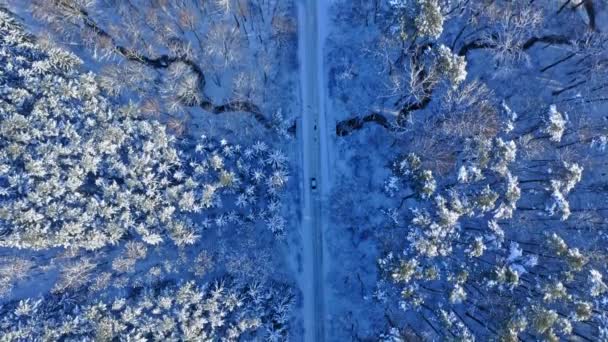 Camino nevado y bosque en invierno. Transporte en invierno — Vídeos de Stock